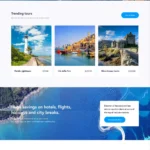 Travel Agency Website Design with Free VPS Web Hosting