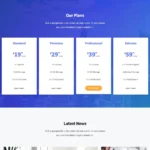 SEO Agency Website Design with Free VPS Web Hosting