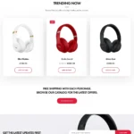 Product Website Website Design with Free VPS Web Hosting