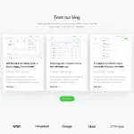 Software Agency Website Design with Free VPS Web Hosting