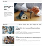 Business Blog Website Design with Free VPS Web Hosting