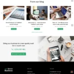 Business Solutions Website Design with Free VPS Web Hosting