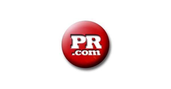 DoubleDome Digital Marketing Develops Innovative SEO Plugin for Bloggers, Businesses, and SEO Professionals