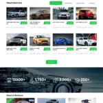 Car Classified Website Design with Free VPS Web Hosting
