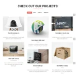 Modern Agency Website Design with Free VPS Web Hosting