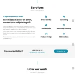 Online Company Website Design with Free VPS Web Hosting