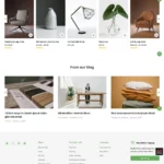 Online Shop Website Design with Free VPS Web Hosting