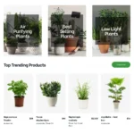 Plant Shop Website Design with Free VPS Web Hosting