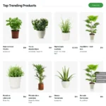 Plant Shop Website Design with Free VPS Web Hosting