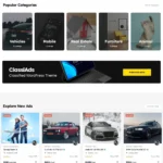 Best Classified Website Design with Free VPS Web Hosting