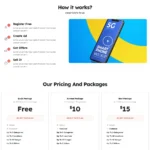 Best Classified Website Design with Free VPS Web Hosting