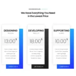 Corporate Agency Website Design with Free VPS Web Hosting