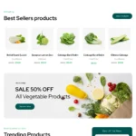 Health Food Store Website Design with Free VPS Web Hosting