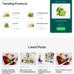 Health Food Store Website Design with Free VPS Web Hosting