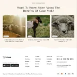 Milk Farm Website Design with Free Web Hosting