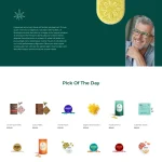 Hemp Shop Website Design with Free VPS Web Hosting