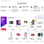 eCommerce Business Website Design with Free VPS Web Hosting