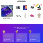 eCommerce Business Website Design with Free VPS Web Hosting